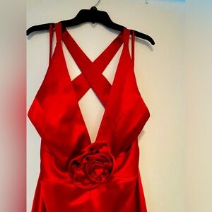 Gorgeous red dress! Never worn. Size 14. Originally $225
